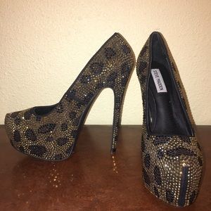 Brand new Steve Madden leopard dyvinal heels